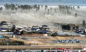 More than good deeds: Disaster risk management